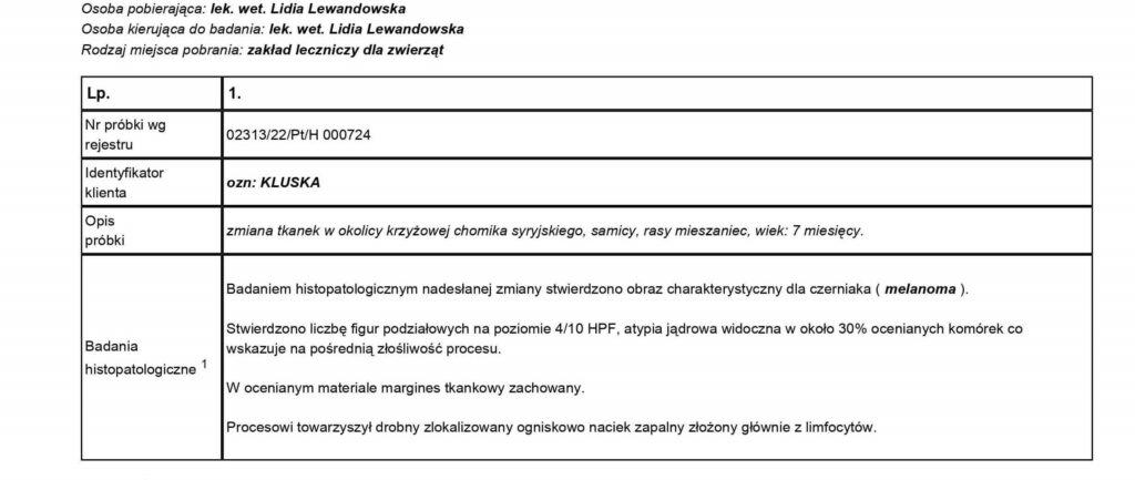 Specjalistyczna przychodnia dla Malych Ssakow OAZA Krakow czerniak u chomika wynik histopatologii 1